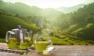 什么茶减肥效果最好 什么茶减肥最有效